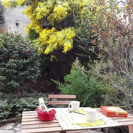 Villa Mimosa House *