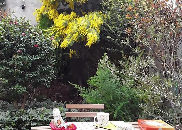 Mimosa House Turin