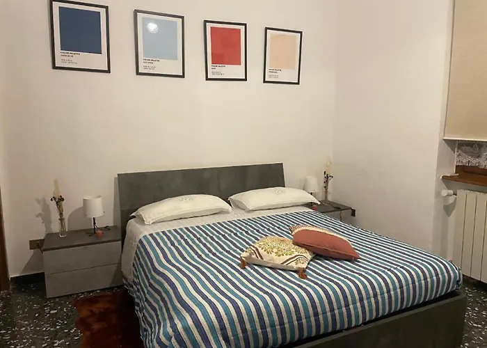 Mimosa House
